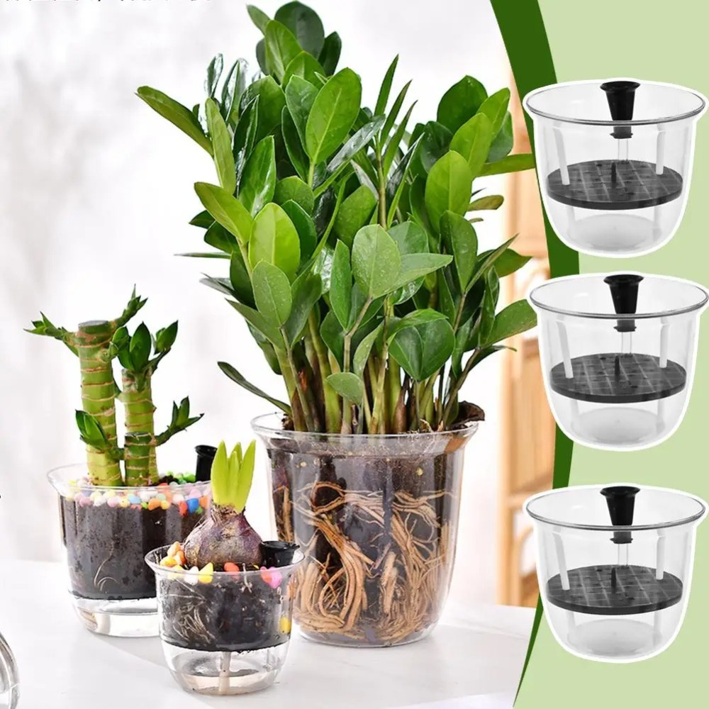 2Pcs Self-Watering Pot, Pots f - огляд і ціна Aloe Vera Pot