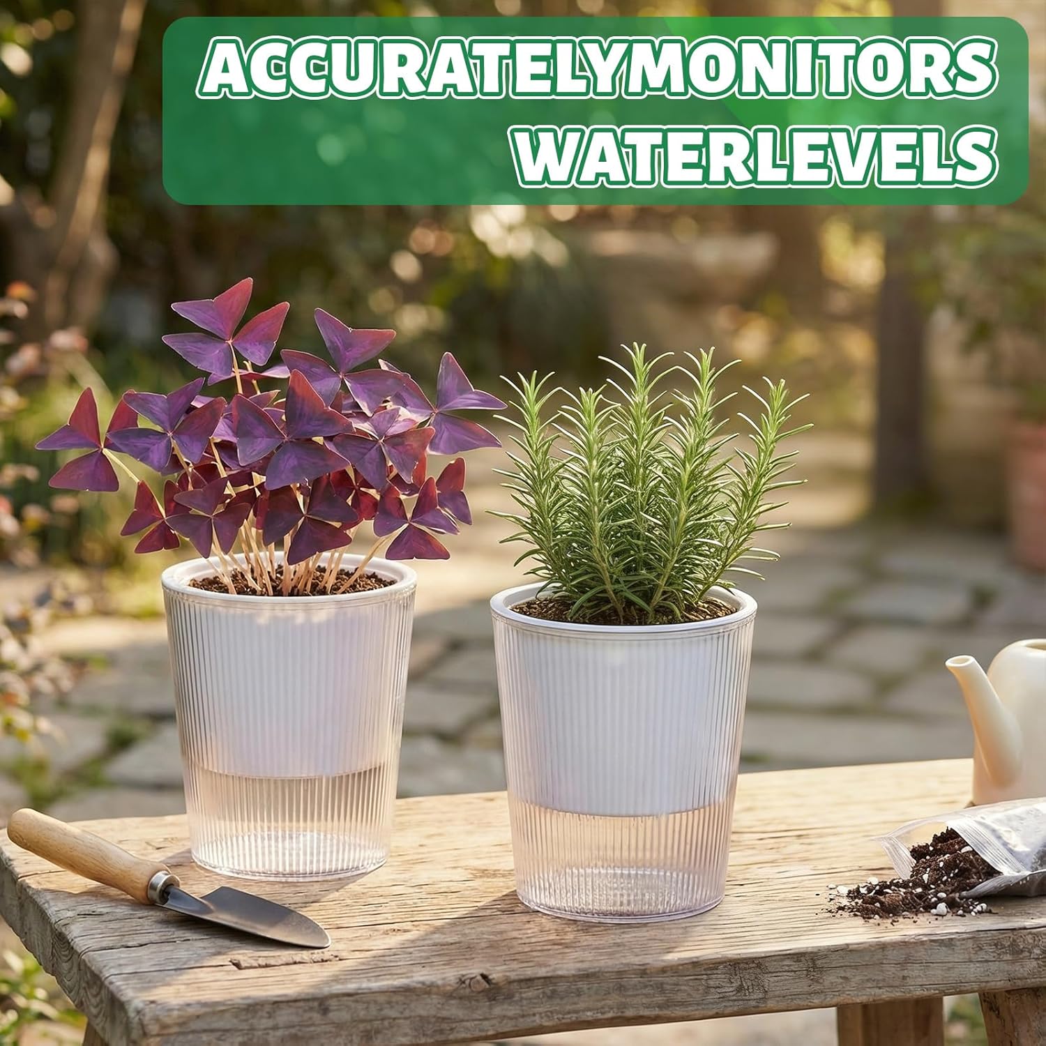 Clear Self Watering Planters P - огляд і ціна Aloe Vera Pot