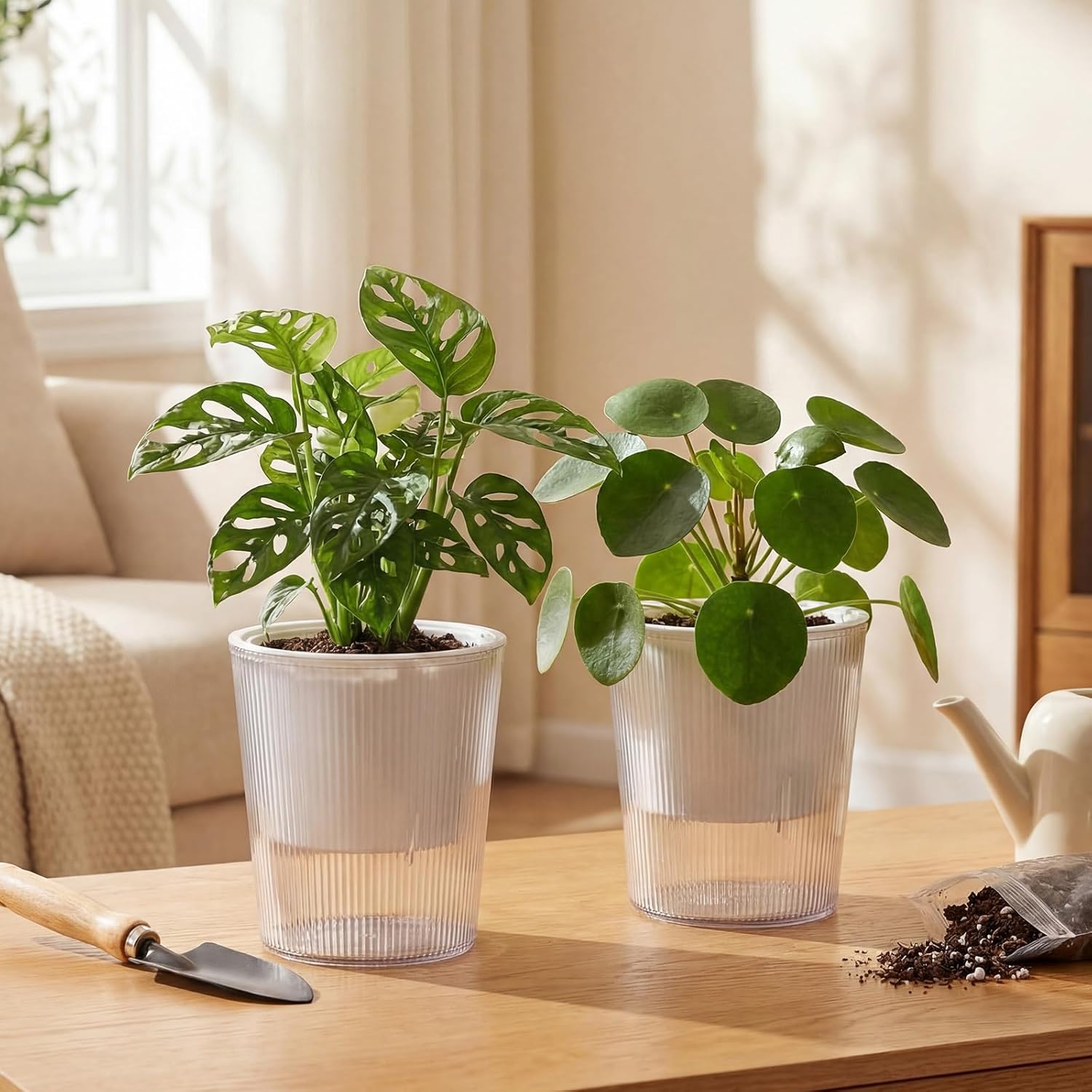 Clear Self Watering Planters P - огляд і ціна Aloe Vera Pot