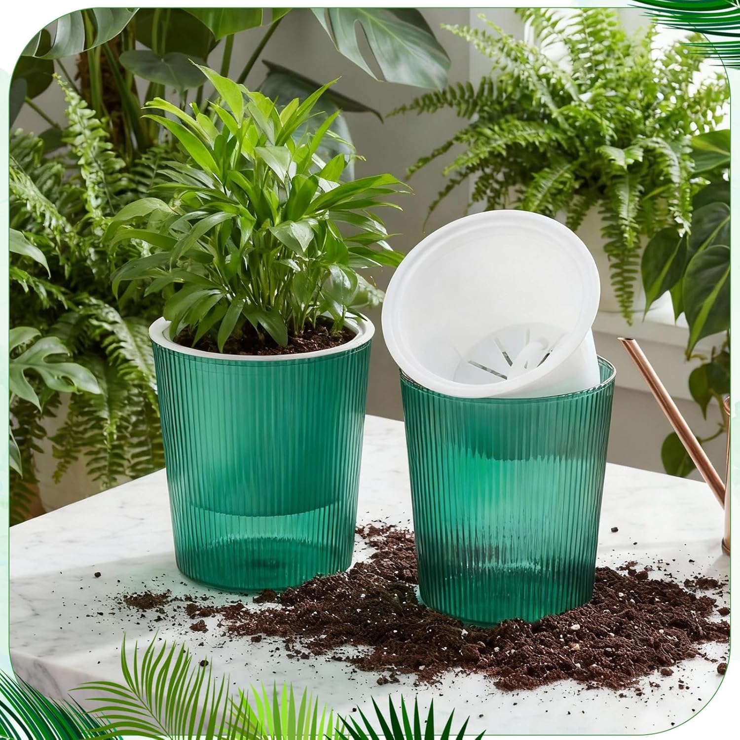 Clear Self Watering Planters P - огляд і ціна Aloe Vera Pot