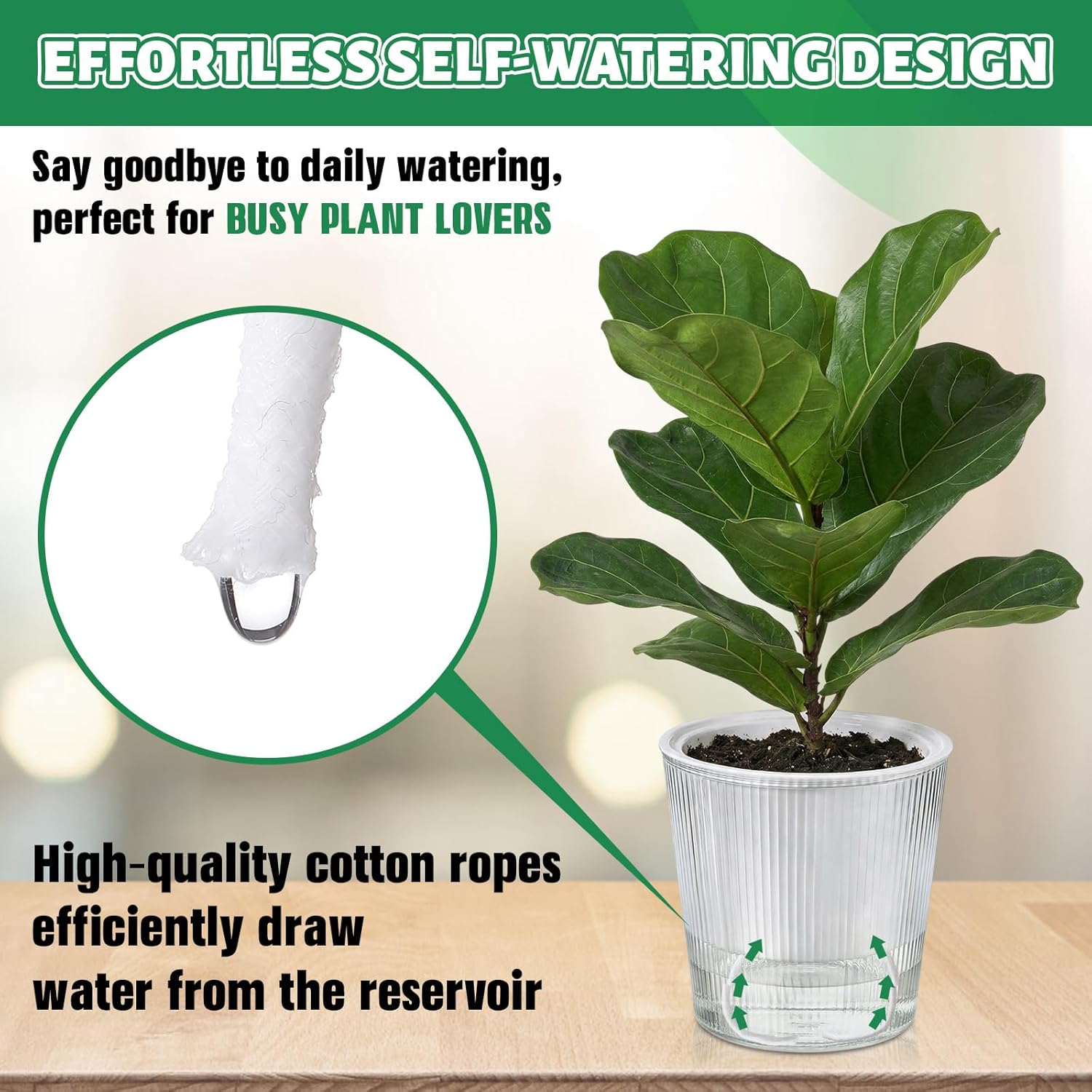Clear Self Watering Planters P - огляд і ціна Aloe Vera Pot