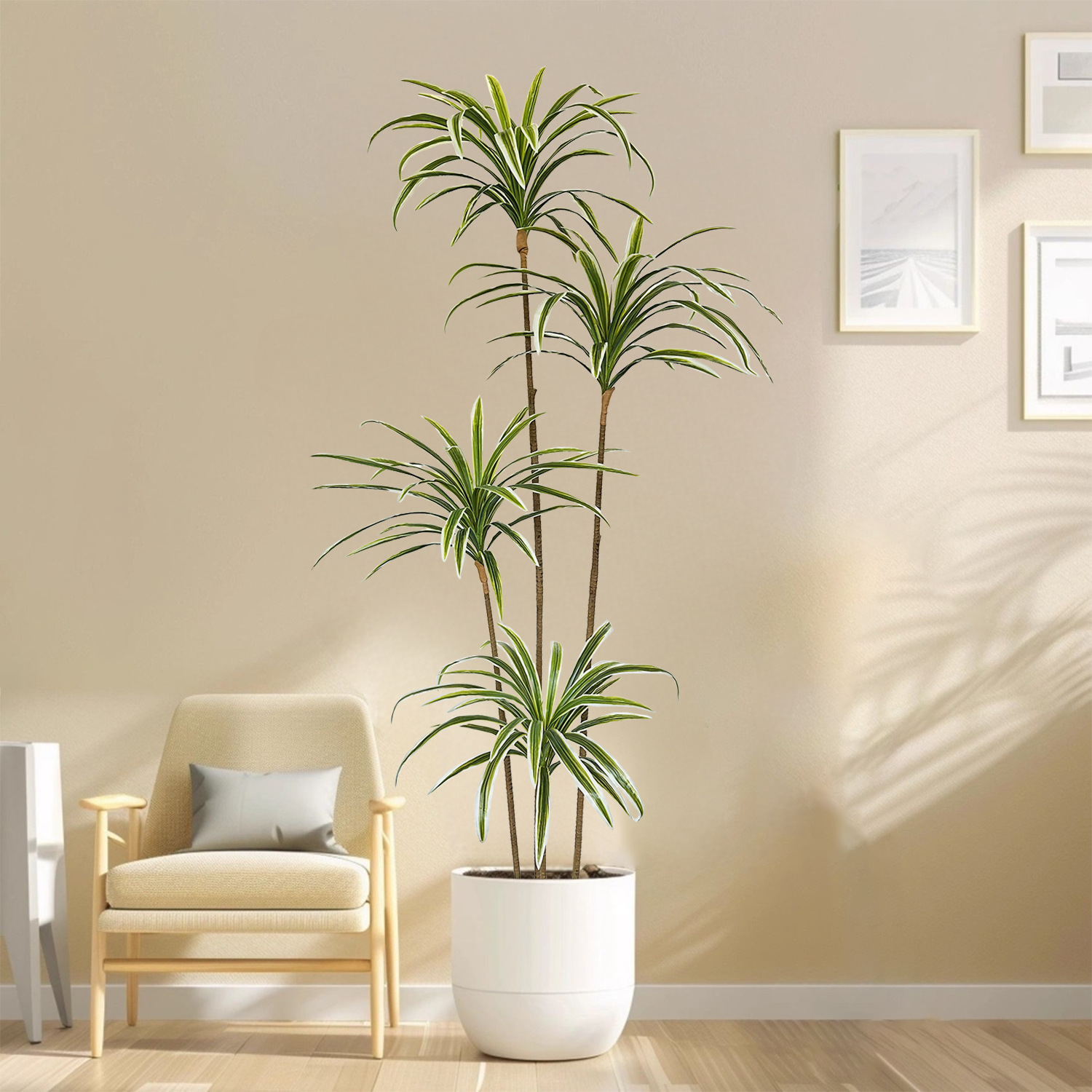 230cm Artificial Dracaena Marg - огляд і ціна Dracaena Marginata