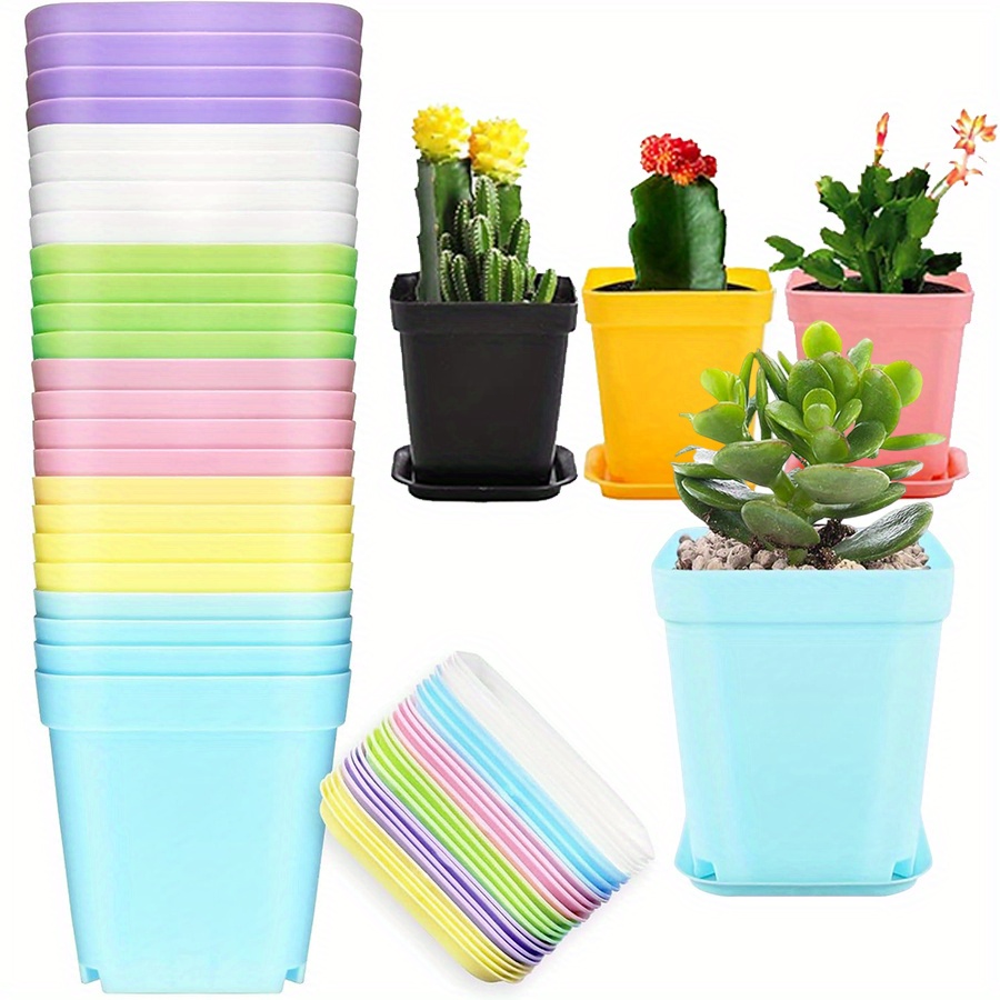 12pcs 7cm Plastic Square Pots  - огляд і ціна Aloe Vera Pot