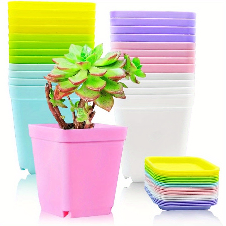 12pcs 7cm Plastic Square Pots  - огляд і ціна Aloe Vera Pot